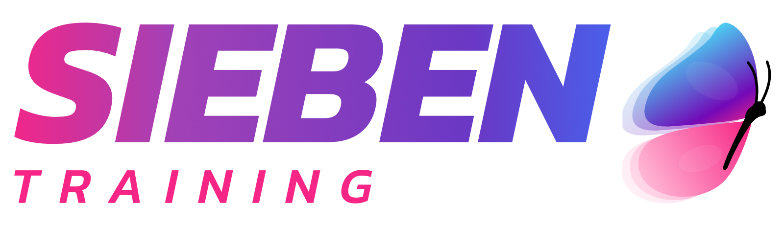 Sieben – Expansión de Posibilidades